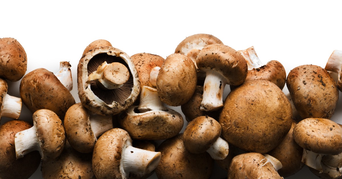 Mushrooms cleaned and prepared for cooking.